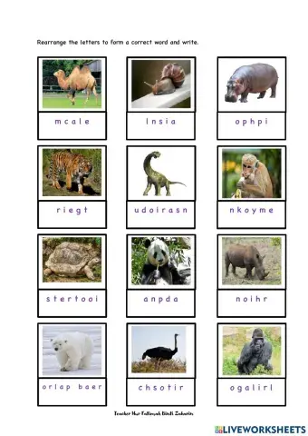 Module 8 Amazing animals