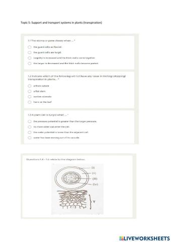 Topic 5: Support and transport systems in plants (transpiration)