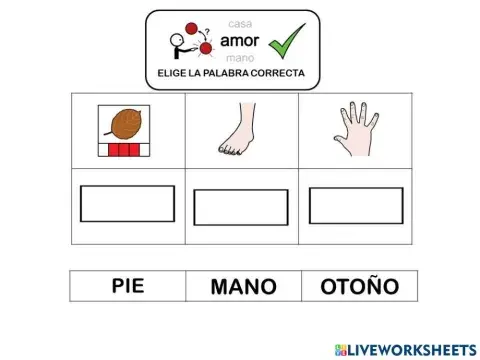 Lectura global palabras