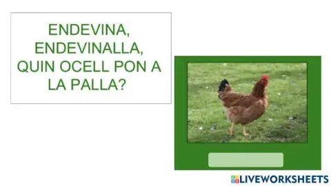 Endevinalles
