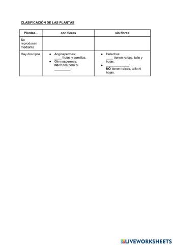 Plantas con flores y sin flores