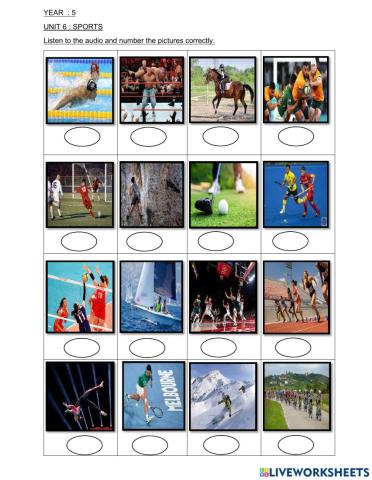 Listening year 5 sports