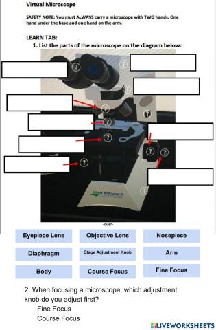 Virtual Microscope Practice