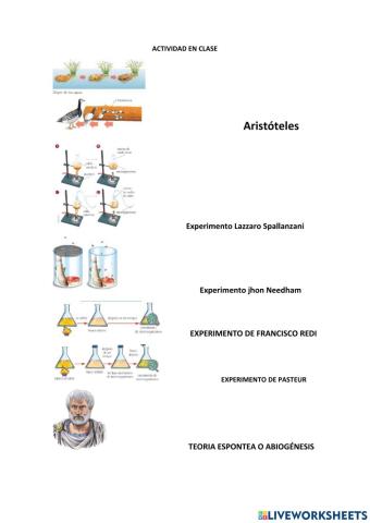 Teoría origen de la vida