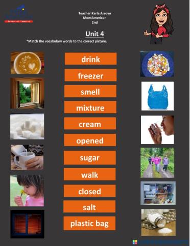 Unit 4 vocabulary words