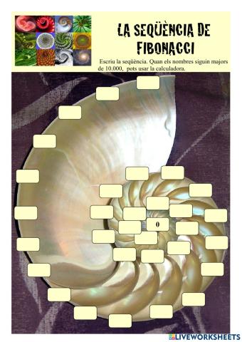 La seqüència de Fibonacci