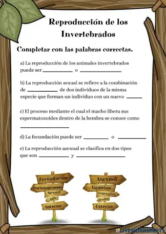 Reproducción Invertebrados