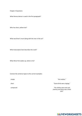 Hatchet Chapter 4 questions