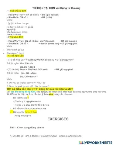 Thì hiện tại đơn