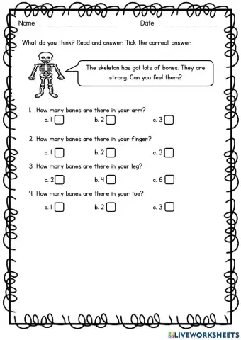 Unit 8: The Robot (Skeleton)
