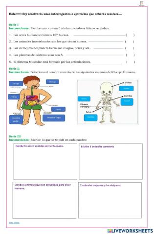 Examen final de medio social y natural