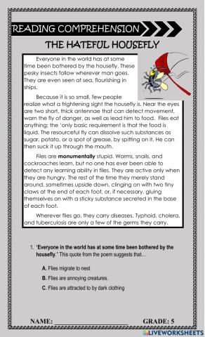 The Hateful Housefly