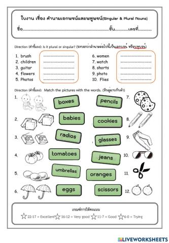 ใบงานที่ 1 เอกพจน์ พหูพจน์