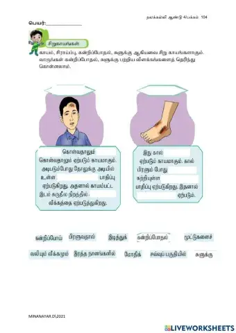நலக்கல்வி சிறுகாயங்கள்