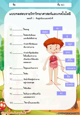 แบบทดสอบวิทยาศาสตร์ฯ ป.1