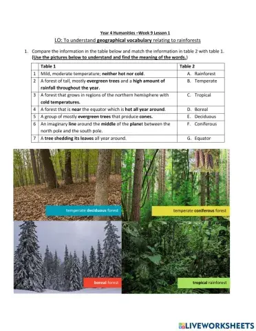 Humanities week 9 Lesson 1