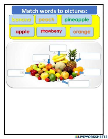 Grade 3 unit 2 lesson 5