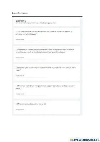 Topic 4 Test Practice