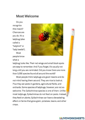 Ladybugs reading comprehension