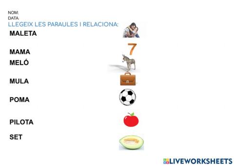 Relaciona les paraules