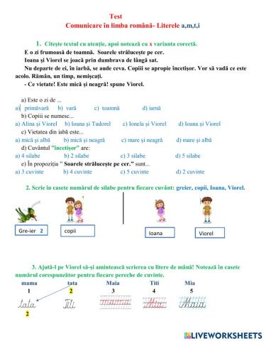 Evaluare sumativă amti