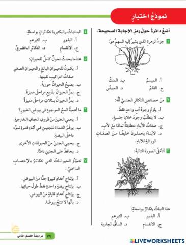 نموذج اختبار ص 79