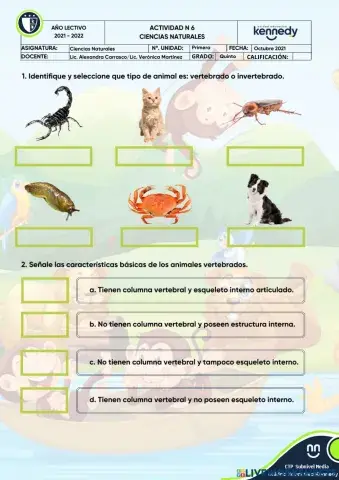 UE KENNEDY Clasificación de los animales