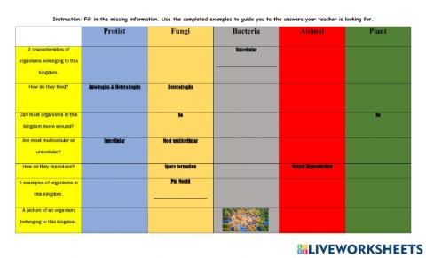 Comparison of Kingdoms