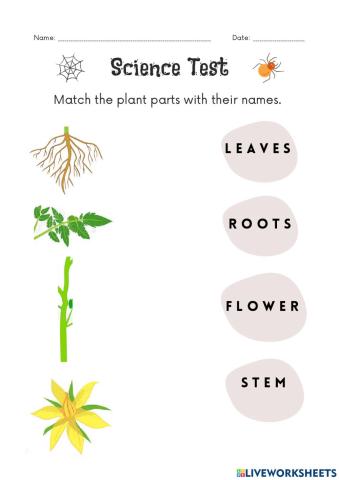 Science 1- Unit 2 Test