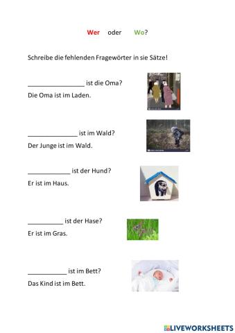 Wer oder Wo?