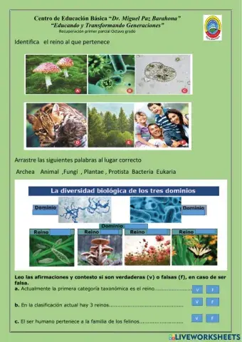 Recuperación Iparcial 8