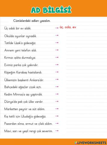 Ad Bilgisi Çalışma Sayfası