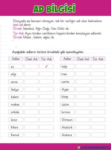 Ad Bilgisi Çalışma Sayfası