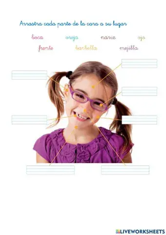 Partes de la cara
