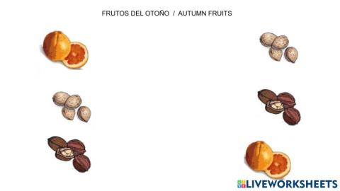 Frutos del otoño 2