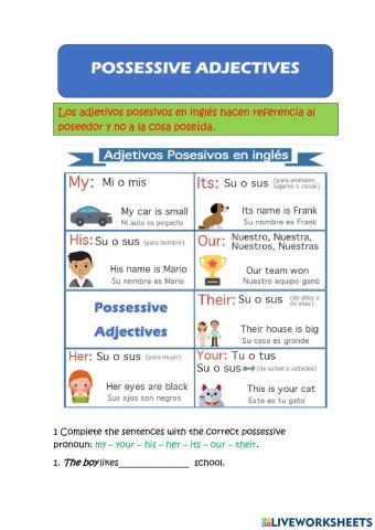 Possessive adjectives