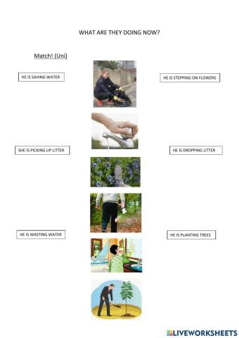 What are they doing?