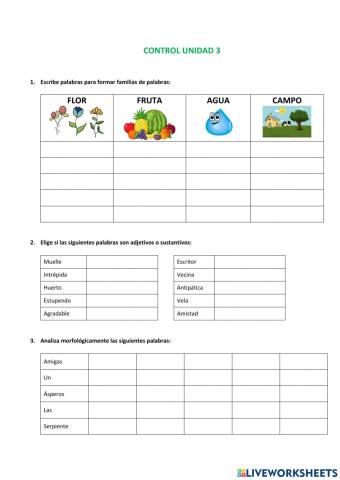 ACENTUACIÓN, GRUPO NOMINAL Y FAMILIA DE PALABRAS