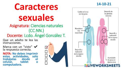 Caracteres sexuales