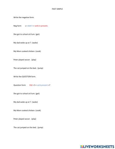 Past simple question and neg