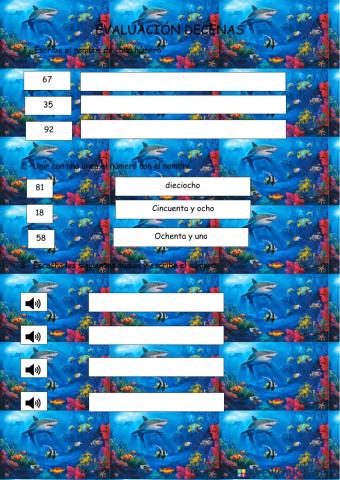 Evaluación decenas
