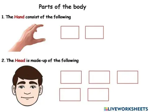 Parts of the body