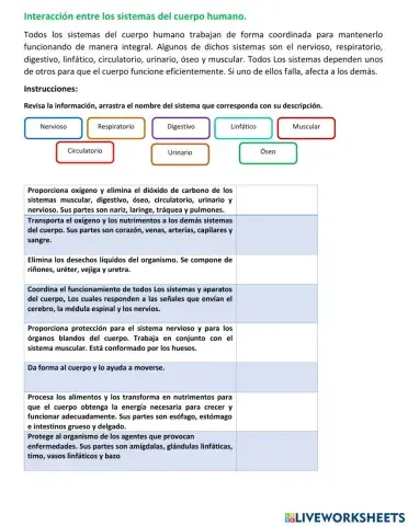 Interacción de los sistemas del cuerpo humano