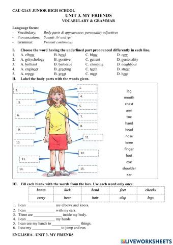 G6U3 Vocabulary and Grammar