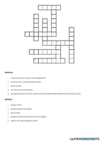 TTS sistem reproduksi manusia