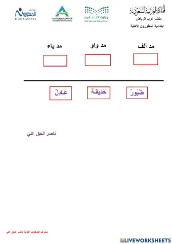 ورقة تفاعلية أنواع المد مدارس المطورون ناصر الحق