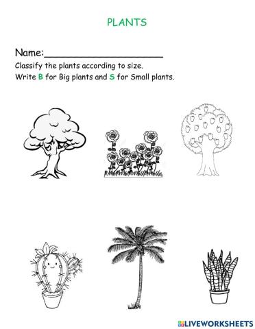 Plants-Sizes- Big and Small