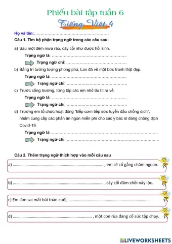 Vui tv cuối tuần 6