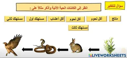 درس السلاسل الغذائية