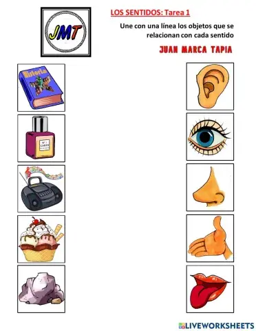 Los Sentidos: Tarea 1. Correspondencia